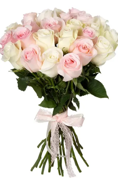Букет 25 розовых роз Аква