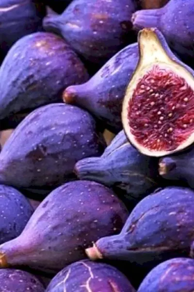 Фиолетовые фрукты и овощи