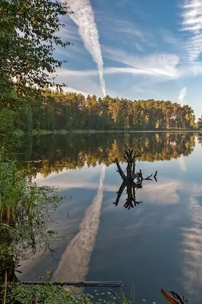 Луковое озеро Ногинск