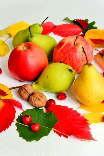 Осень фрукты