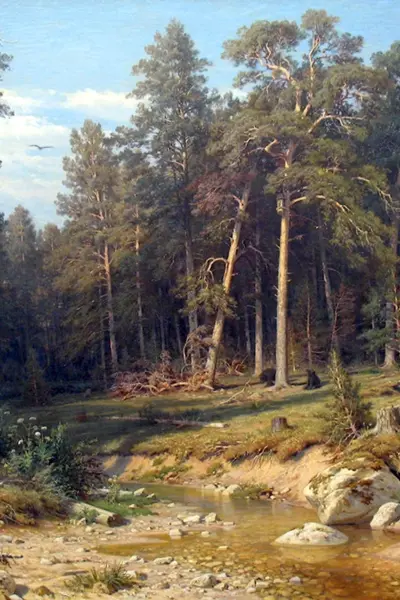 Шишкин мачтовый лес в Вятской губернии