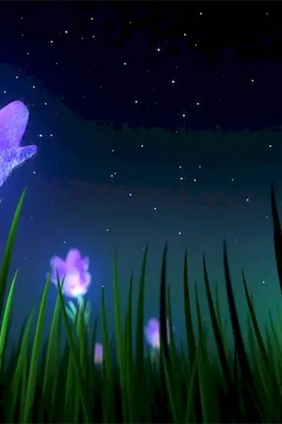 Цветы ночью