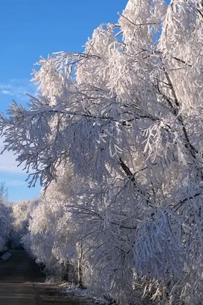 Зима в Краснодарском крае