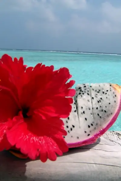 Мальдивские цветы