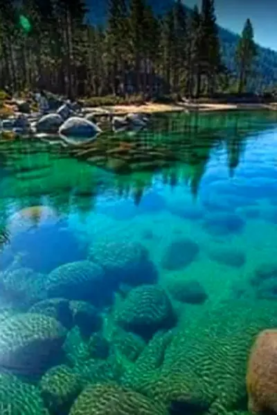 Озеро Флатхед штат Монтана