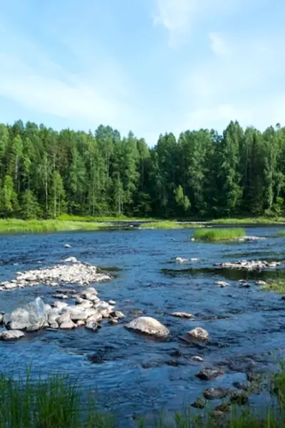 Река Янисйоки Карелия